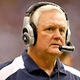Illustration for article titled Wade Phillips Excited About Upcoming NFL Giraffe